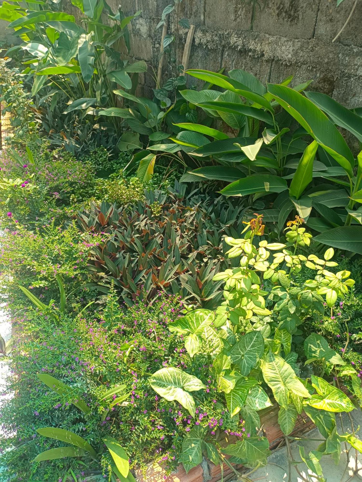 Vang Vieng Champa Hotel Buitenkant foto