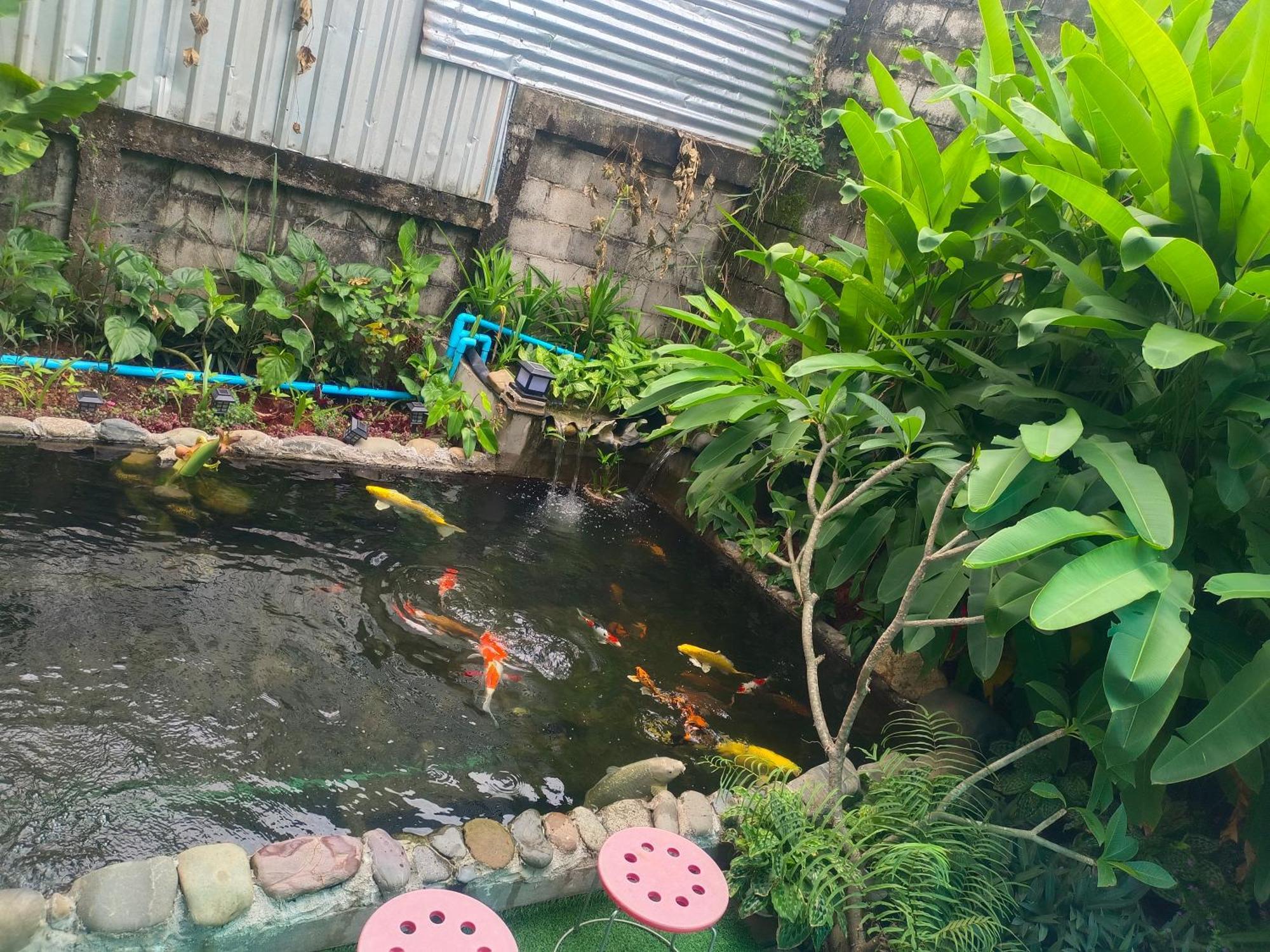 Vang Vieng Champa Hotel Buitenkant foto